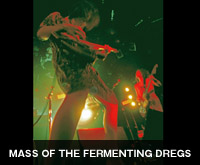 MASS OF THE FERMENTING DREGS